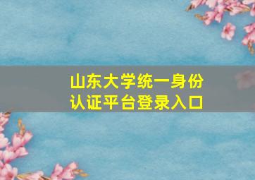 山东大学统一身份认证平台登录入口