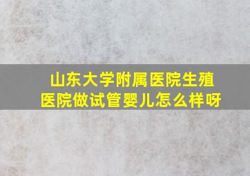 山东大学附属医院生殖医院做试管婴儿怎么样呀