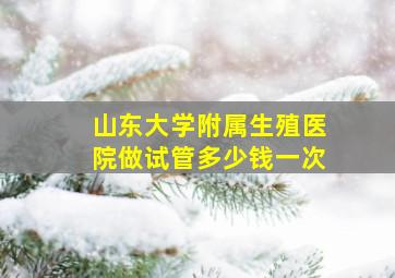 山东大学附属生殖医院做试管多少钱一次