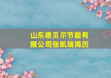 山东德贝尔节能有限公司张凯瑞简历