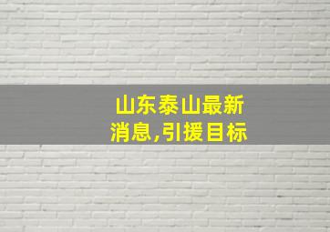 山东泰山最新消息,引援目标