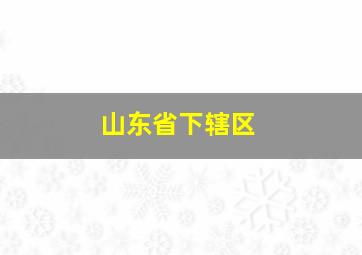 山东省下辖区