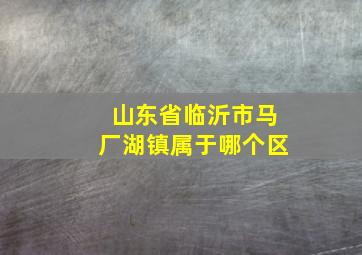 山东省临沂市马厂湖镇属于哪个区