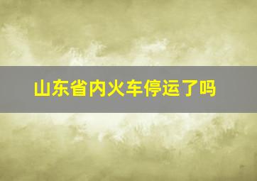 山东省内火车停运了吗