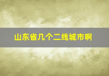 山东省几个二线城市啊