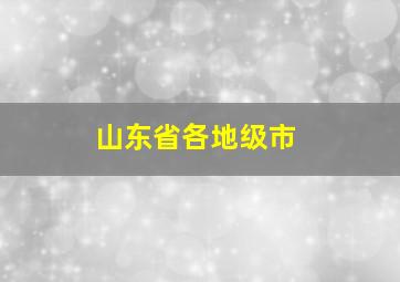 山东省各地级市