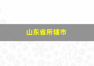 山东省所辖市