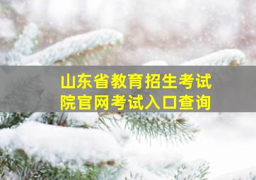 山东省教育招生考试院官网考试入口查询