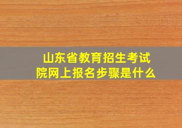 山东省教育招生考试院网上报名步骤是什么