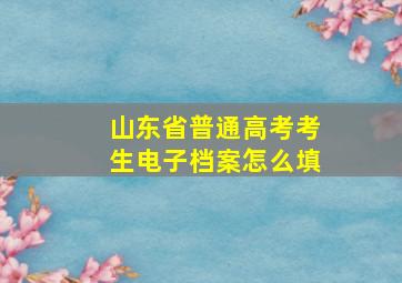 山东省普通高考考生电子档案怎么填