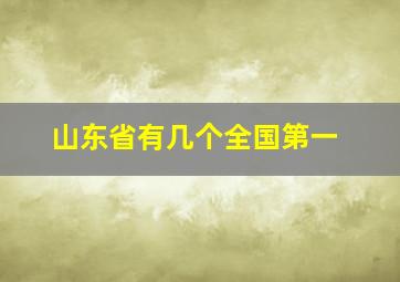 山东省有几个全国第一