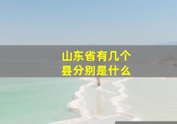 山东省有几个县分别是什么