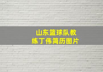 山东篮球队教练丁伟简历图片