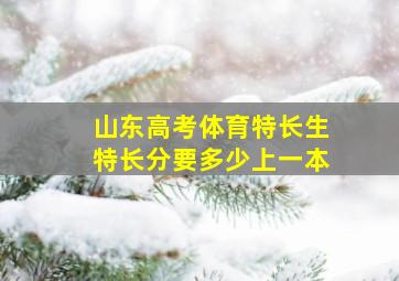 山东高考体育特长生特长分要多少上一本