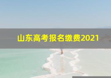 山东高考报名缴费2021