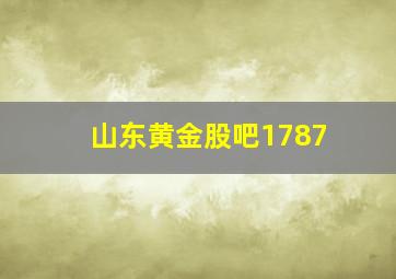 山东黄金股吧1787