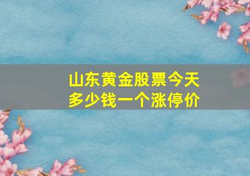 山东黄金股票今天多少钱一个涨停价