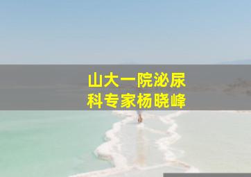 山大一院泌尿科专家杨晓峰