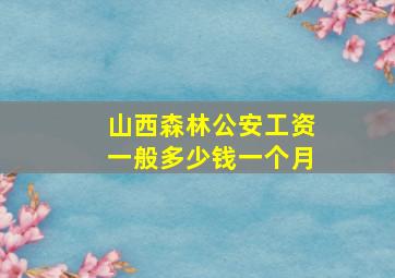 山西森林公安工资一般多少钱一个月