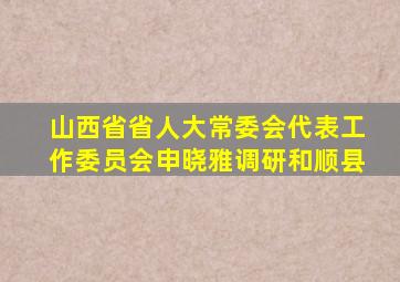 山西省省人大常委会代表工作委员会申晓雅调研和顺县