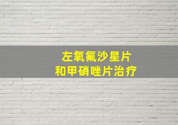 左氧氟沙星片和甲硝唑片治疗