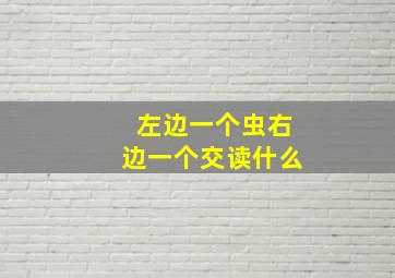 左边一个虫右边一个交读什么