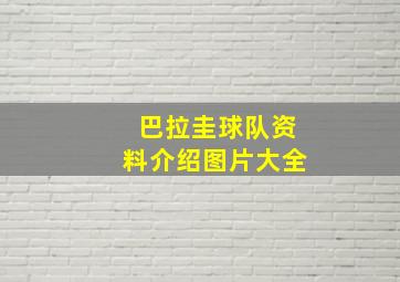 巴拉圭球队资料介绍图片大全