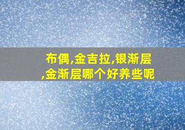 布偶,金吉拉,银渐层,金渐层哪个好养些呢