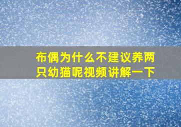 布偶为什么不建议养两只幼猫呢视频讲解一下