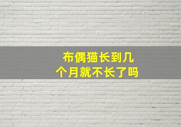 布偶猫长到几个月就不长了吗