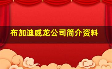 布加迪威龙公司简介资料