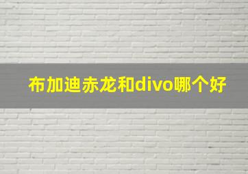 布加迪赤龙和divo哪个好