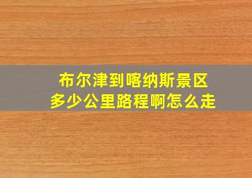 布尔津到喀纳斯景区多少公里路程啊怎么走