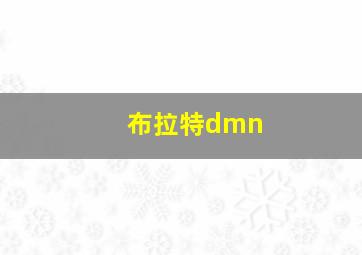 布拉特dmn