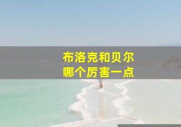 布洛克和贝尔哪个厉害一点