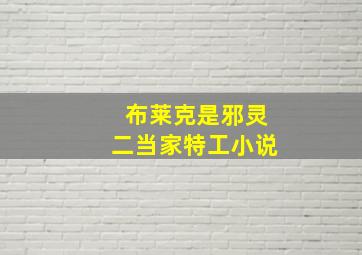 布莱克是邪灵二当家特工小说