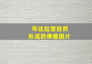 布达拉宫自然形成的佛像图片