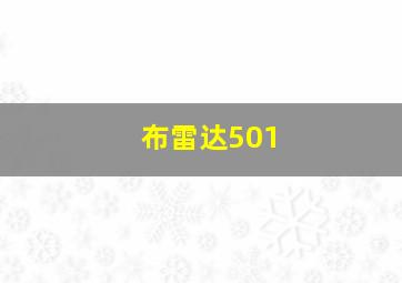 布雷达501