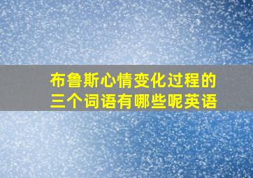 布鲁斯心情变化过程的三个词语有哪些呢英语