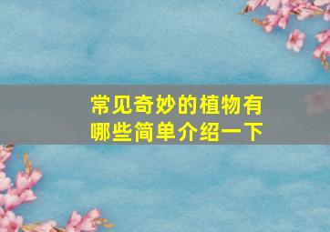 常见奇妙的植物有哪些简单介绍一下