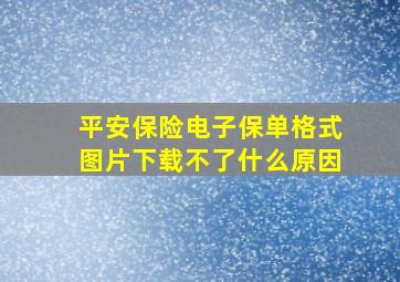 平安保险电子保单格式图片下载不了什么原因