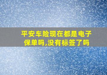 平安车险现在都是电子保单吗,没有标签了吗