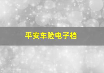 平安车险电子档