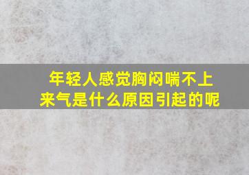 年轻人感觉胸闷喘不上来气是什么原因引起的呢