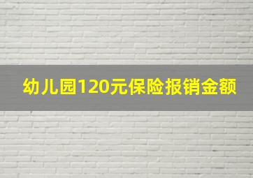 幼儿园120元保险报销金额