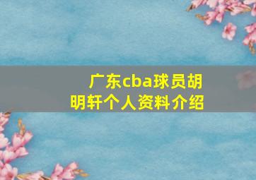 广东cba球员胡明轩个人资料介绍