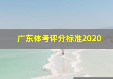 广东体考评分标准2020