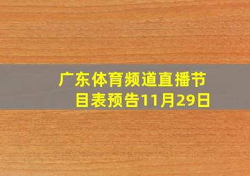 广东体育频道直播节目表预告11月29日