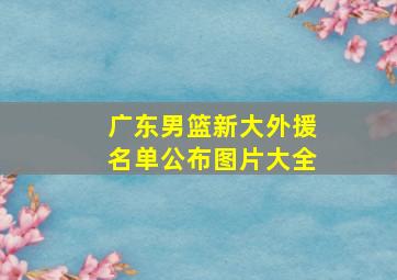 广东男篮新大外援名单公布图片大全