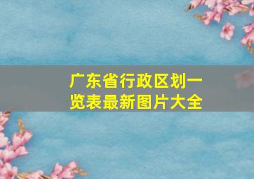 广东省行政区划一览表最新图片大全